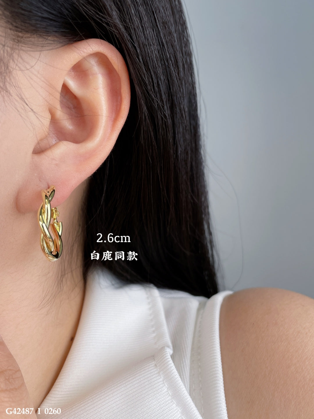 Twisted Hoop Earrings