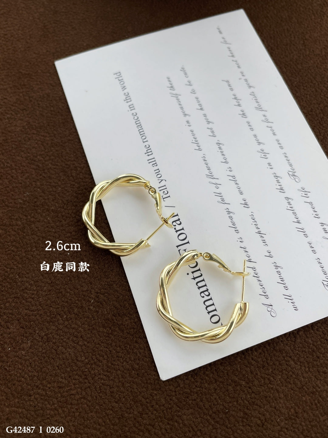 Twisted Hoop Earrings